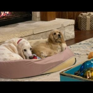 Meet your Posher, Cathy